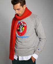 Load image into Gallery viewer, FALSE